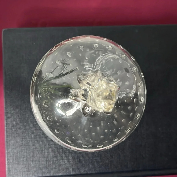 Strawberry Controlled Bubbles Hand Blown Large Clear Glass Art Sculpture Signed - Picture 3 of 7